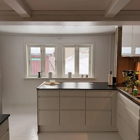 Quiet Detached House In Haukeli, Modern And Homey Апартаменты