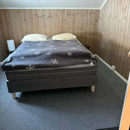 Quiet Detached House In Haukeli, Modern And Homey
