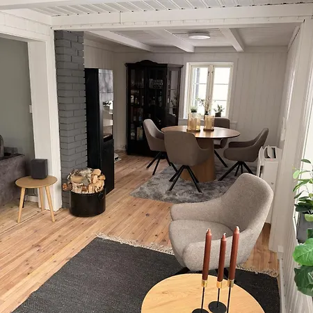 Quiet Detached House In Haukeli, Modern And Homey