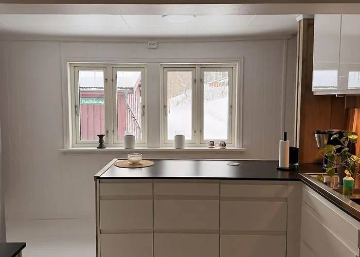 Quiet Detached House In Haukeli, Modern And Homey Apartamento