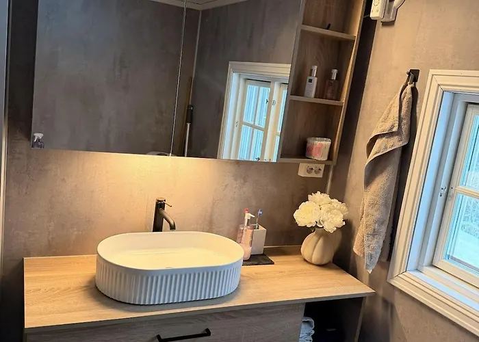 Apartamento Quiet Detached House In Haukeli, Modern And Homey Haukeli