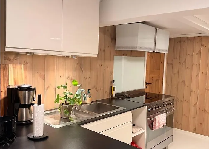 Apartamento Quiet Detached House In Haukeli, Modern And Homey Haukeli