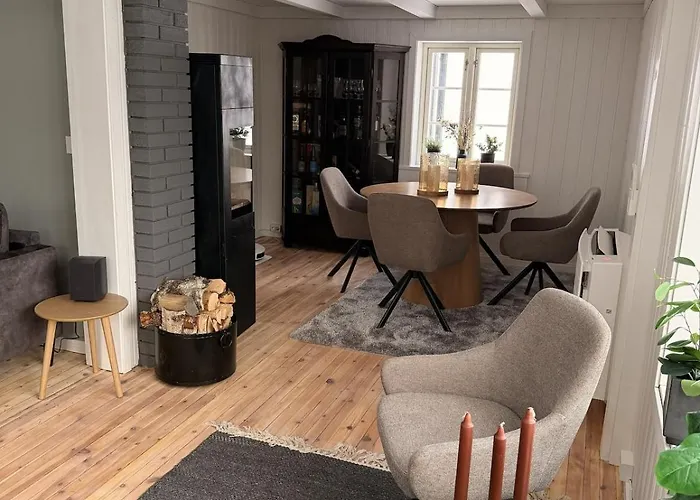 Quiet Detached House In Haukeli, Modern And Homey